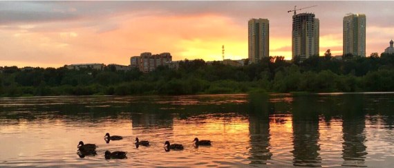 Остров Татышев