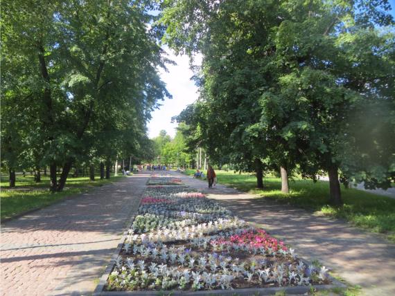 Губернаторский парк