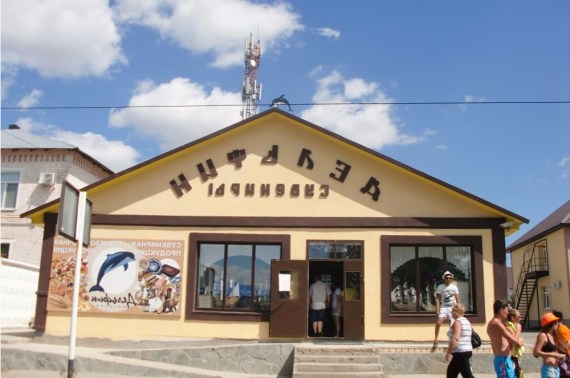 Сувениры Дельфин