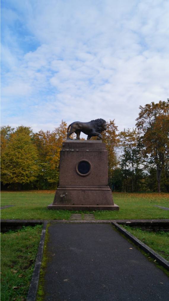 Бронзовый лев