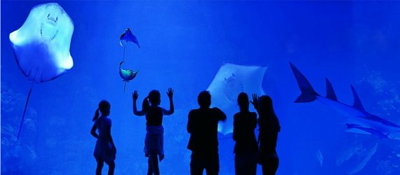 Hurghada Grand Aquarium