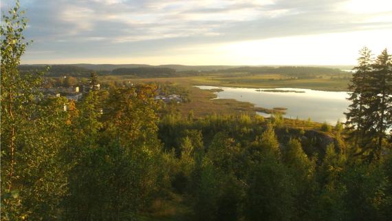 Городской парк "Ваккосалми"