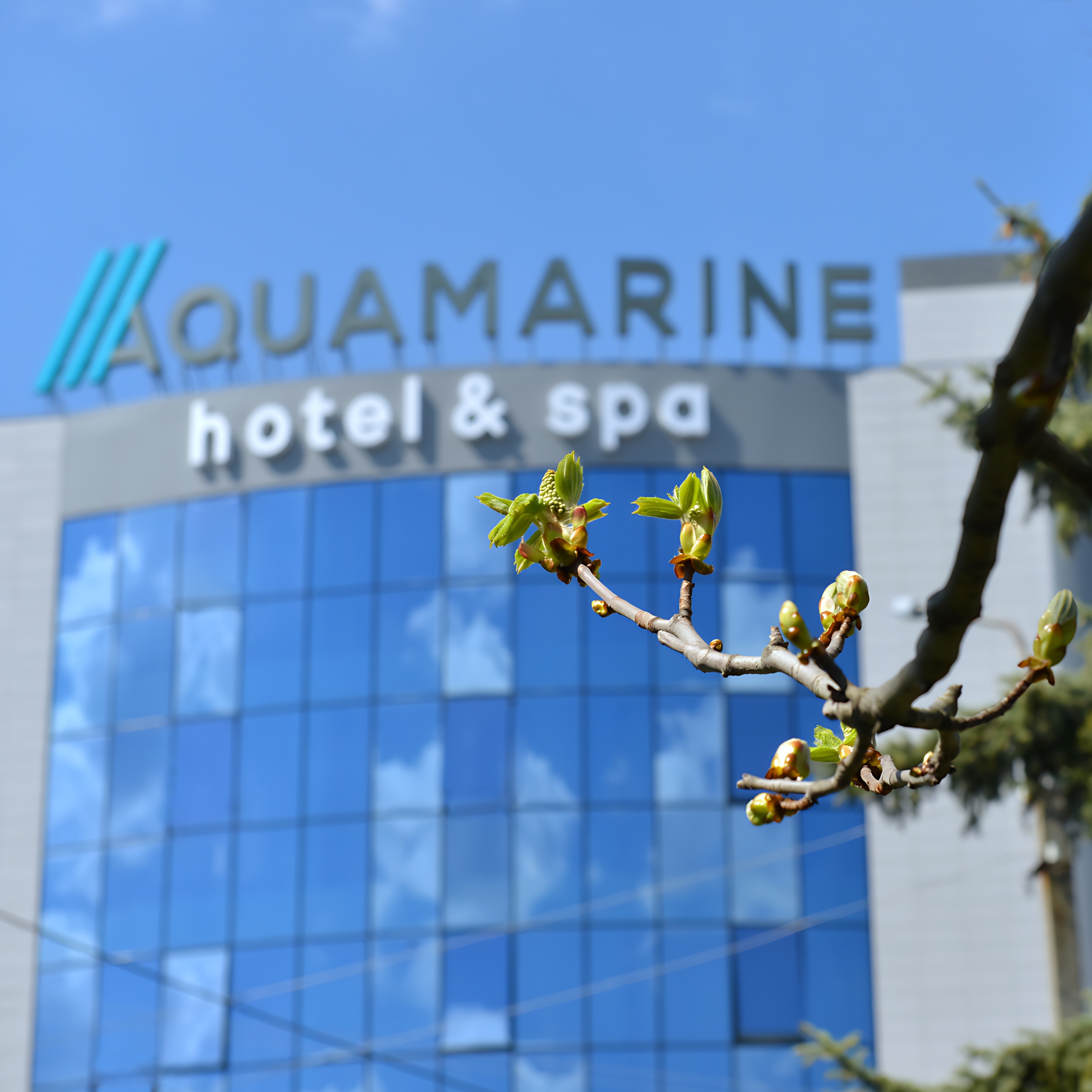 Отель Aquamarine hotel&spa — отель с удобствами в Курске